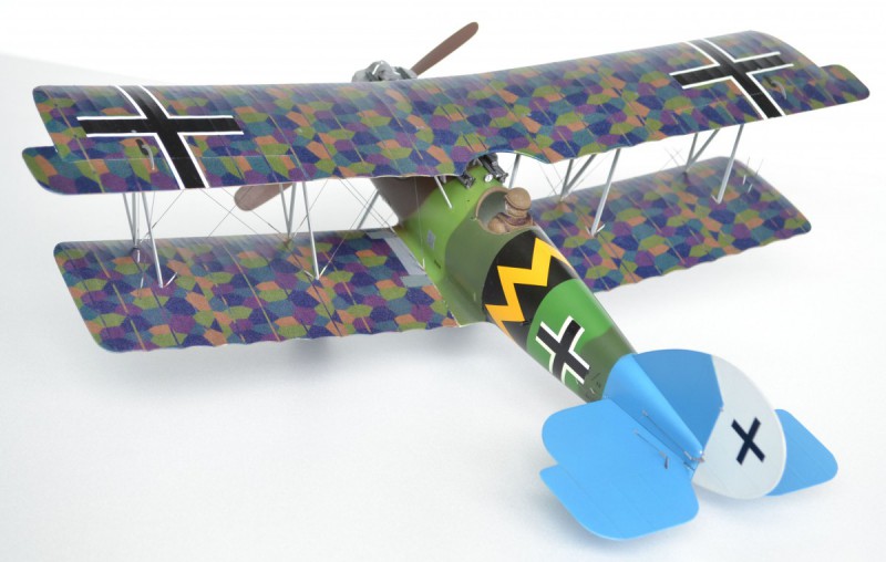 P XII 2.JPG