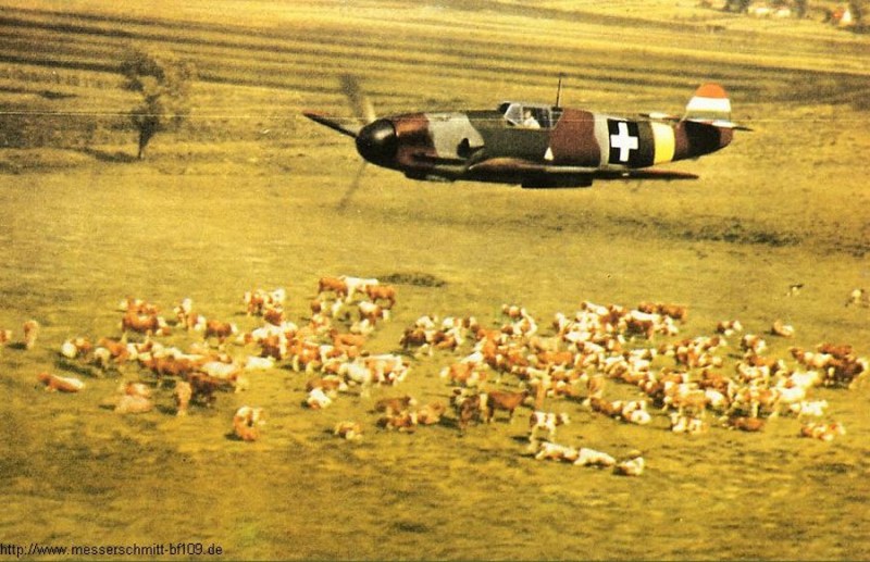 Bf 109 F 4 MKHL.jpg