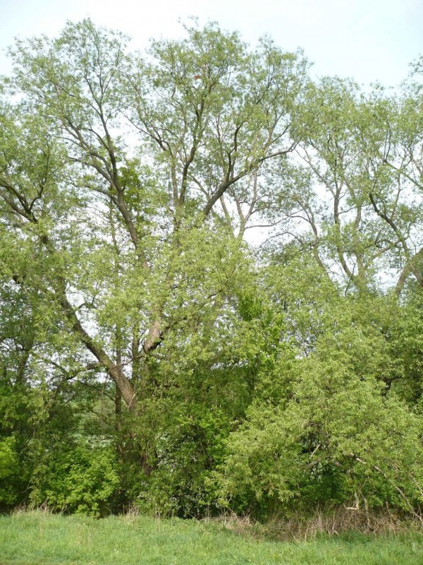 P1120226.JPG