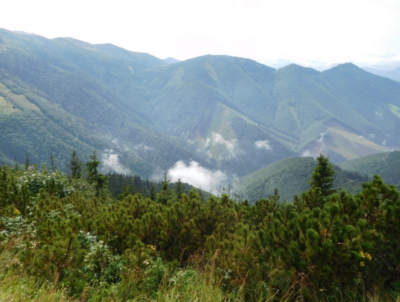 Malá Fatra po bouři.jpg