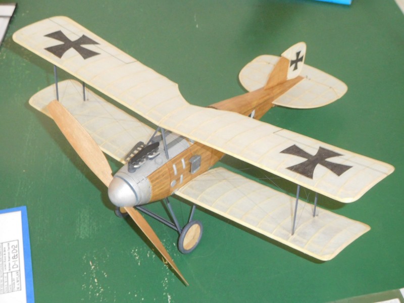 Cokův Albatros D-II.JPG