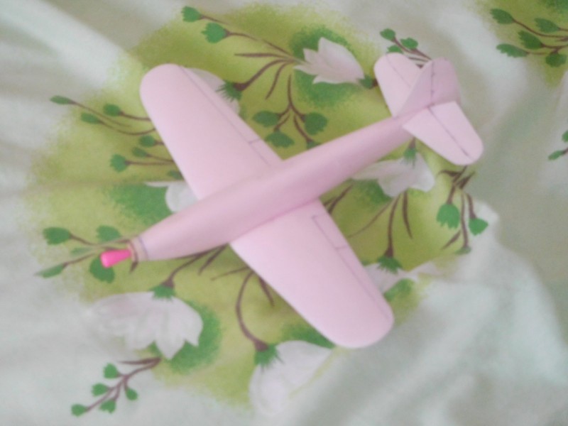 DSCN2799.JPG