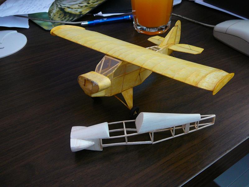 Colibri trup.JPG