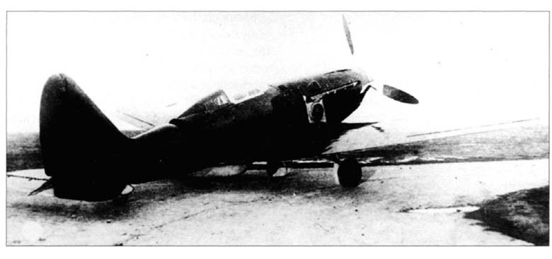 Su1_1w.jpg