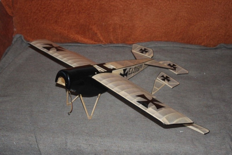 Pfalz 20210308 002.jpg